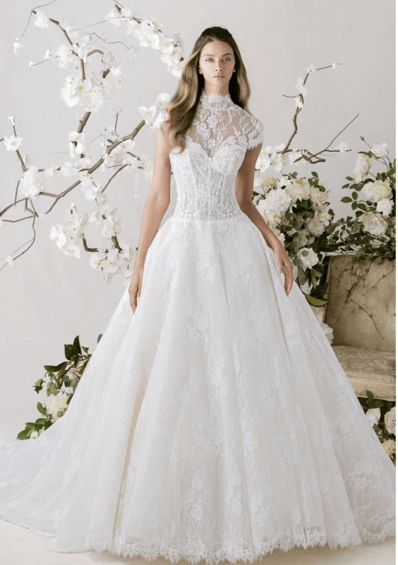 captura de pantalla 2026 01 25 a la(s) 8.14.22 p. m.